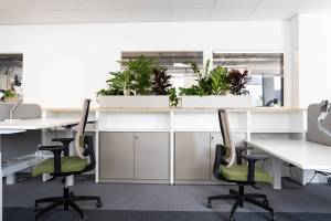 Emmanuelle CHENEVIER - L'EFFET CAFÉINE